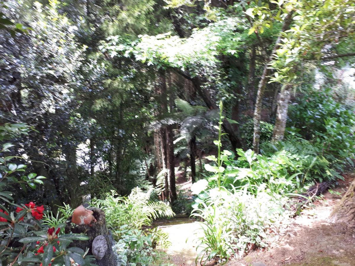 مبيت وإفطار تاومارونوي Rangaroa Heights المظهر الخارجي الصورة